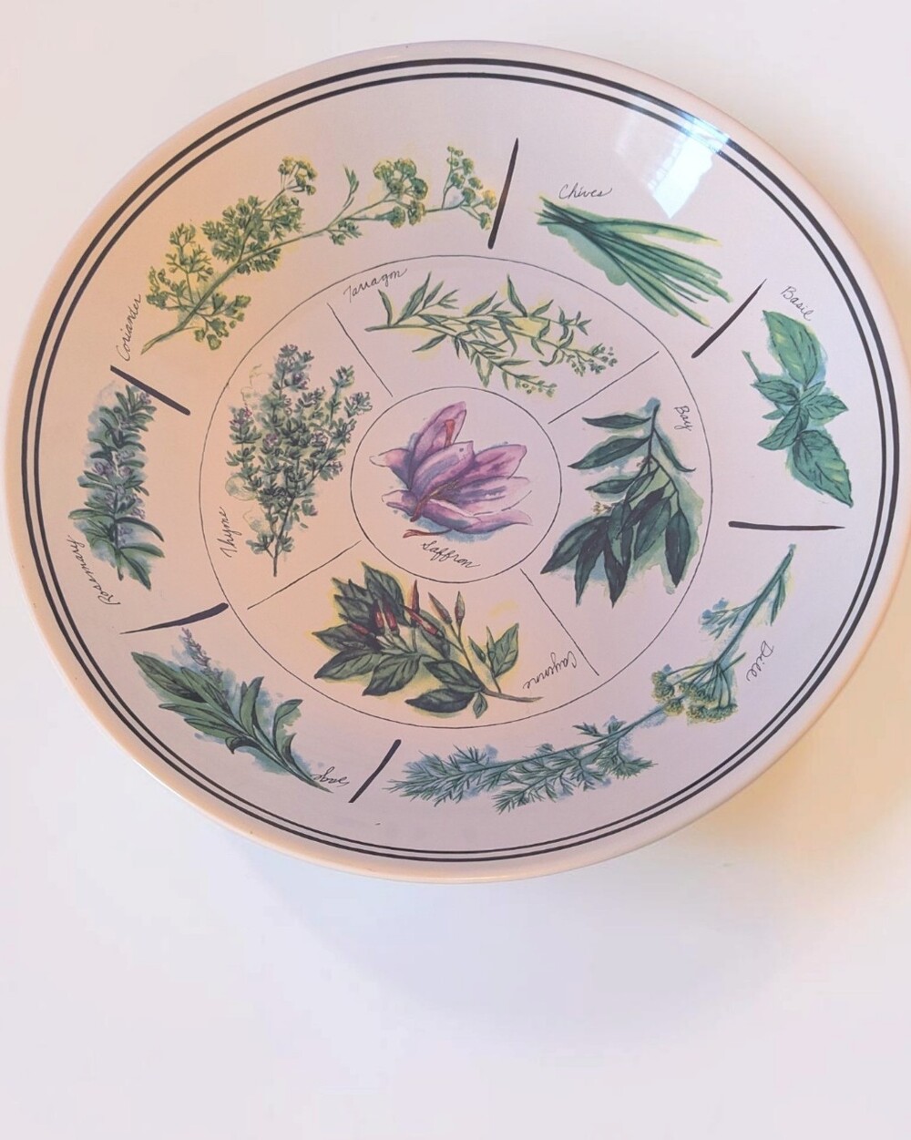 Vintage Williams-Sonoma Culinary Herbs 13" Pasta Serving Bowl - Made in Portugal